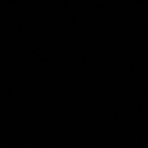 Meet your Posher, Dee